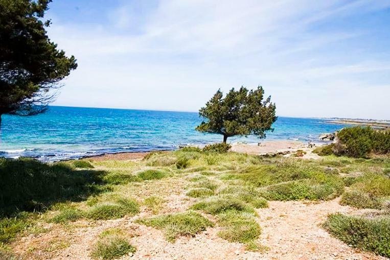 A House Between Ancient Olympia And The Ionian Sea Levendokhorion Экстерьер фото